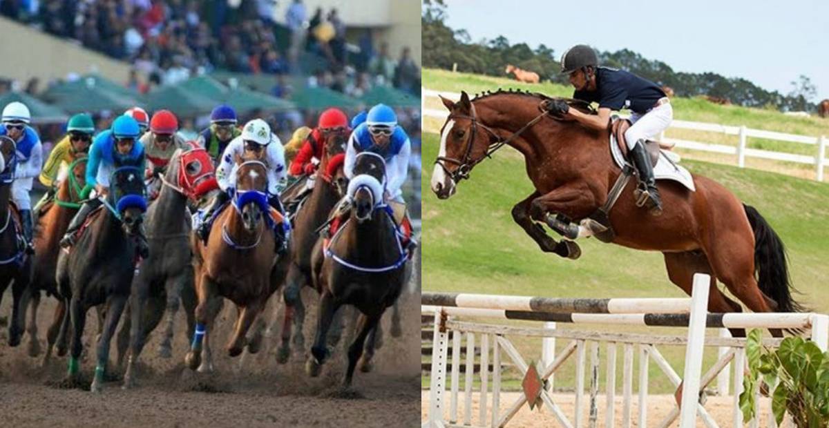 Reglas del hipismo