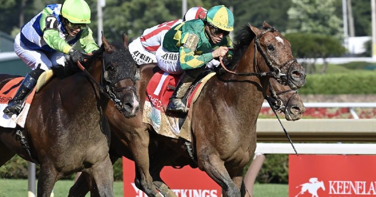 Datos Saratoga 26 de Julio - Retrospecto de carreras americanas para hoy MasterBets365 apuestas hipicas internacionales