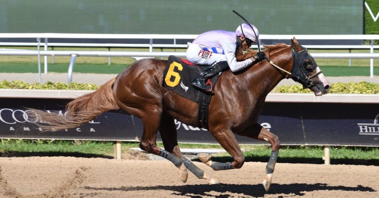 Datos de gulfstream park hoy gratis: Resultados carreras americanas hoy MasterBets.com