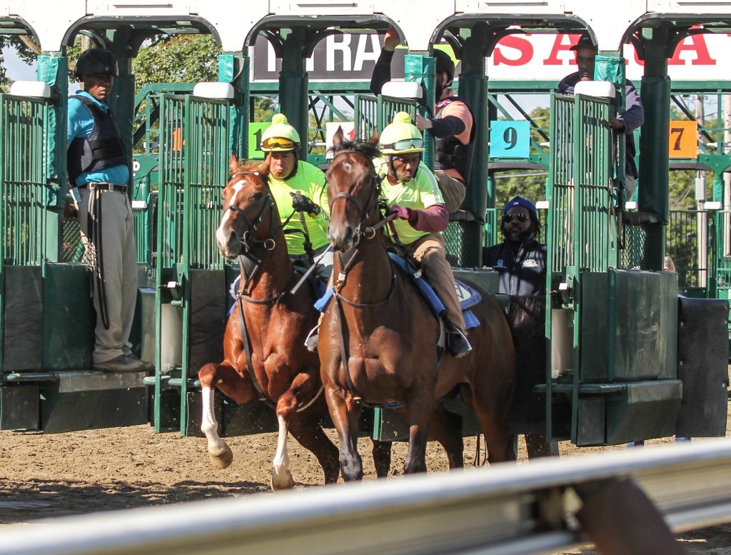 Saratoga datos: Retrospecto carreras americanas MasterBets365.com