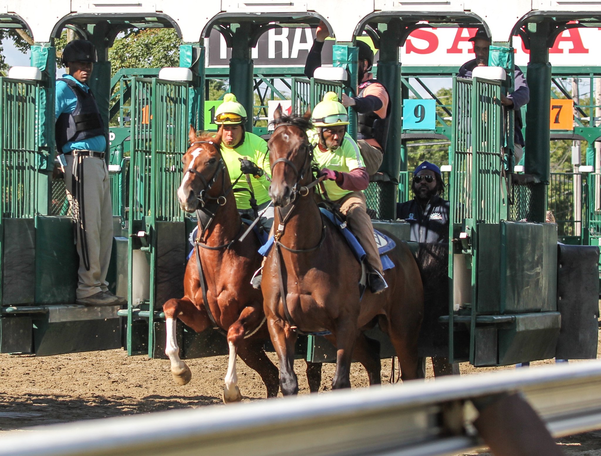Saratoga datos: Retrospecto carreras americanas MasterBets365.com