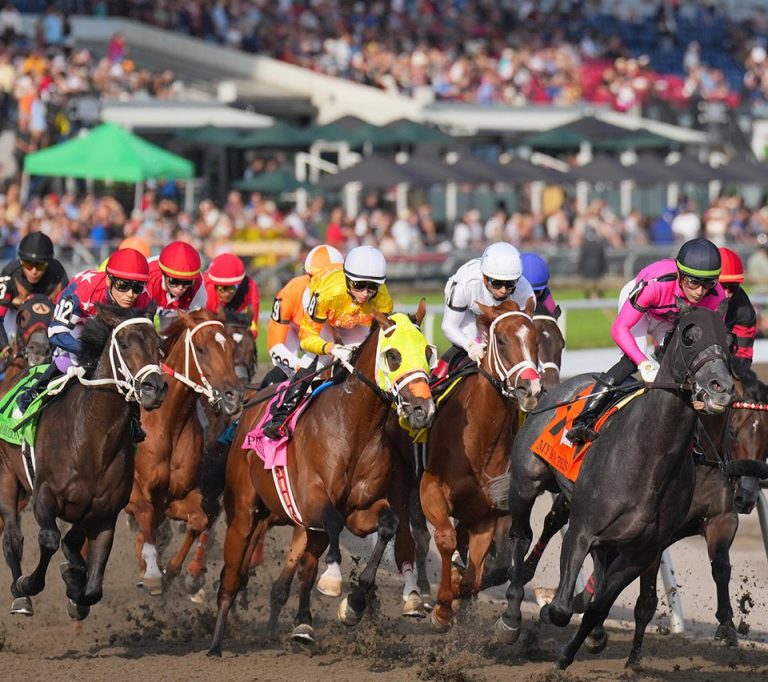 Woodbine picks: Hipismo internacional datos MasterBets365.com