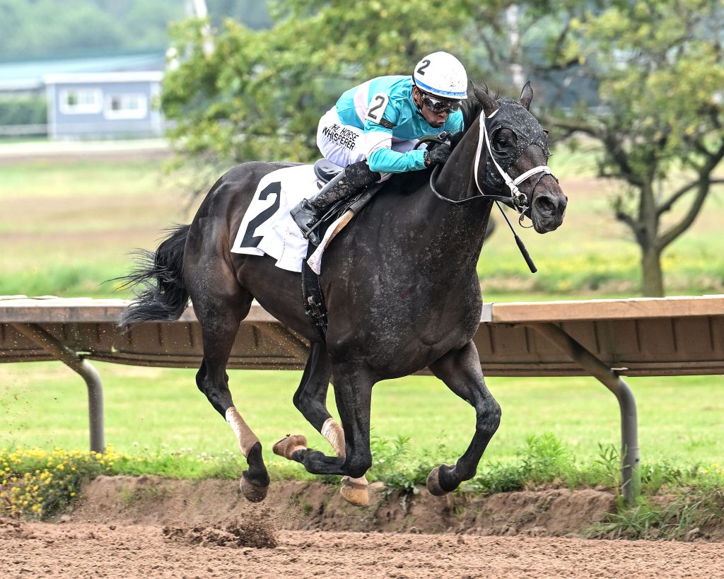 Datos de finger lakes: Quick picks americanas MasterBets365.com