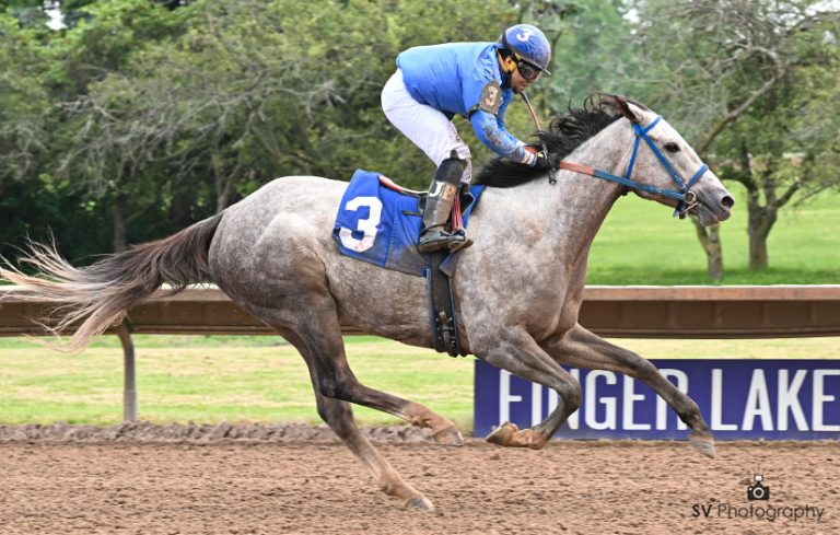 Finger lakes en vivo: Retrospecto de carreras americanas para hoy MasterBets365.com