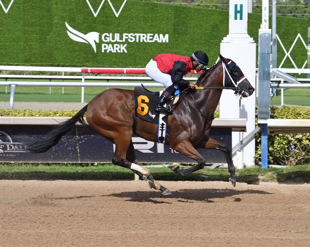 Datos fijos de Gulfstream Park: Resultados carreras americanas hoy MasterBets365.com