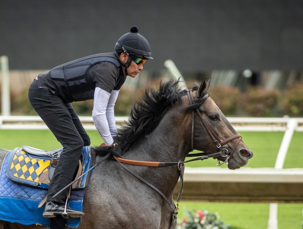Del Mar entries: Retrospecto de carreras americanas para hoy MasterBets365.com