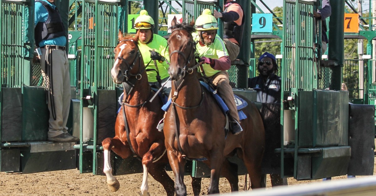Datos Saratoga 3 de agosto - Carreras americanas MasterBets365 apuestas hipicas internacionales