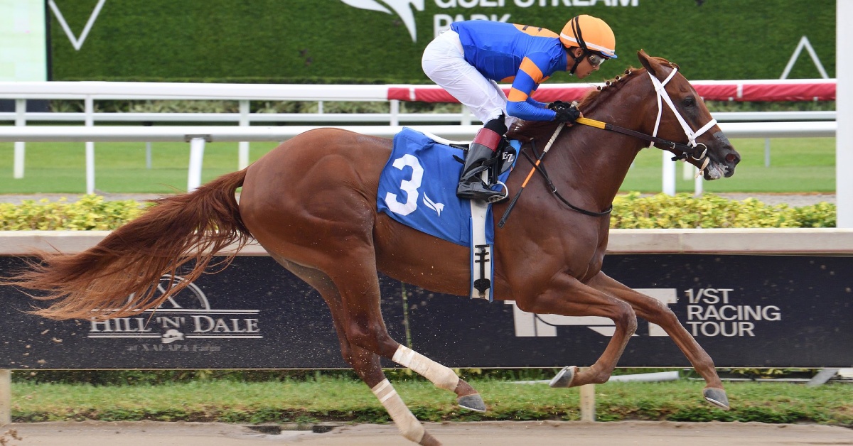 Datos fijos de Gulfstream Park - Datos carreras americanas MasterBets365 Horse Racing 24 de agosto