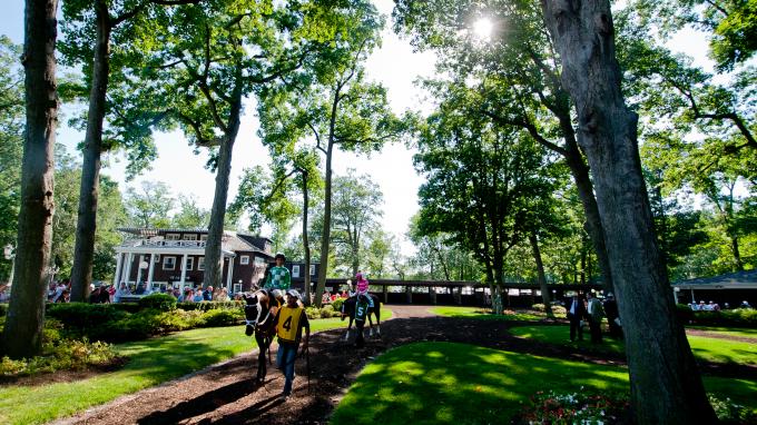 Resultados delaware park: Apuestas de caballos internacionales MasterBets365.com
