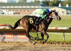 Thistledown picks: Carreras americanas en vivo hoy MasterBets365.com