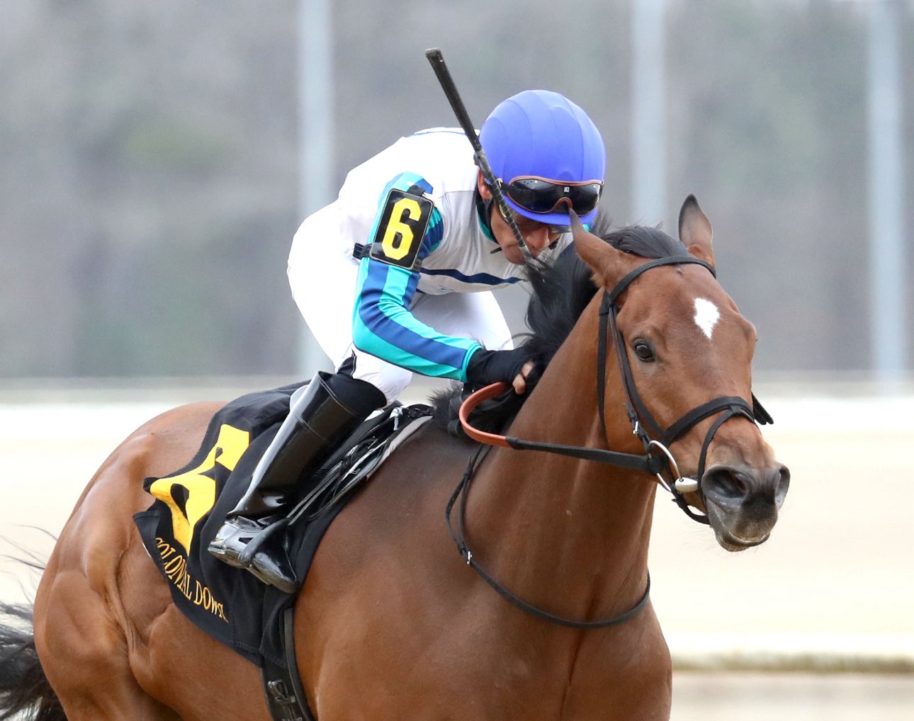 Racing dudes colonial downs: Retrospecto de carreras americanas para hoy MasterBets365.com