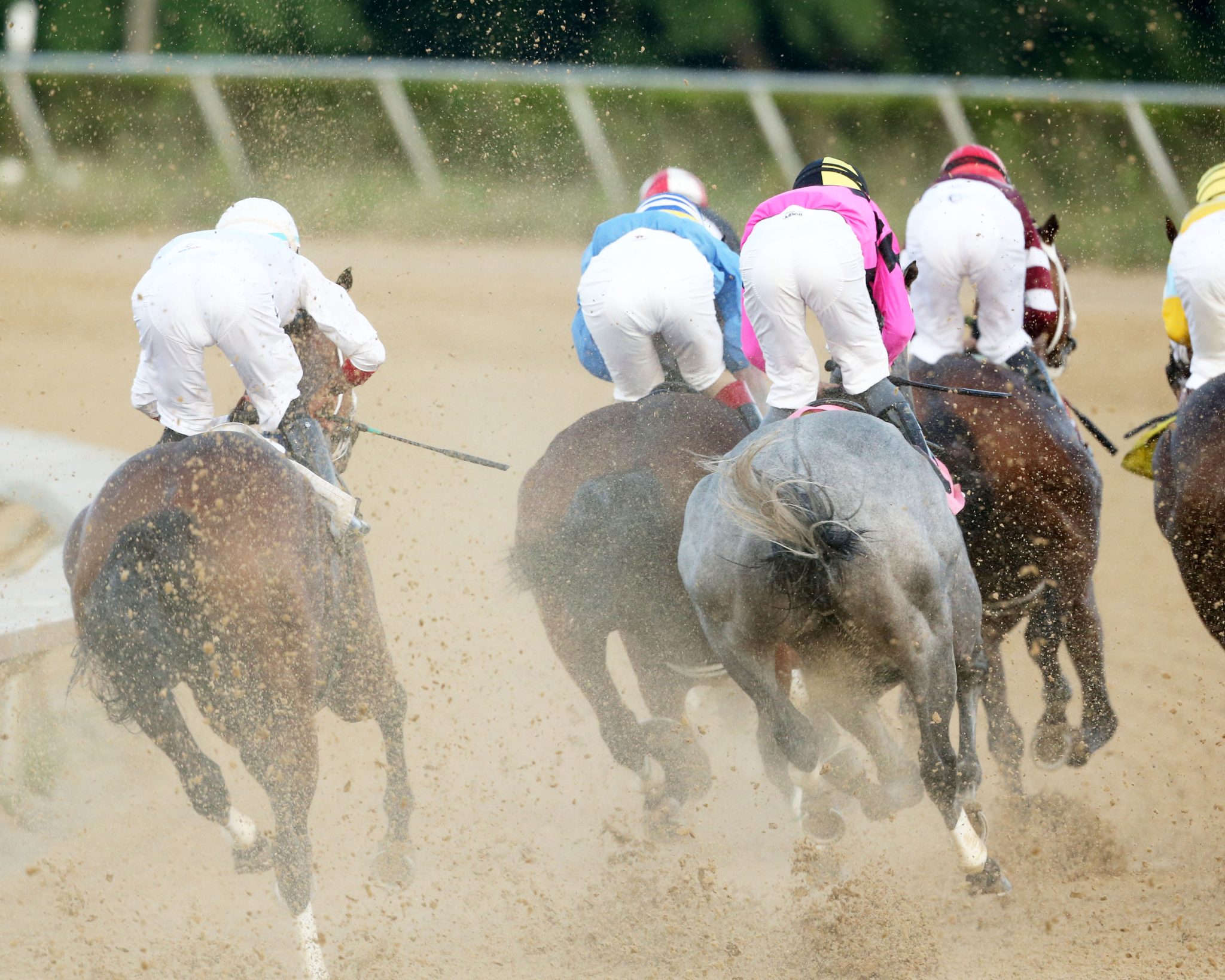 Resultados carreras americanas hoy: Mountaineer free picks MasterBets365.com