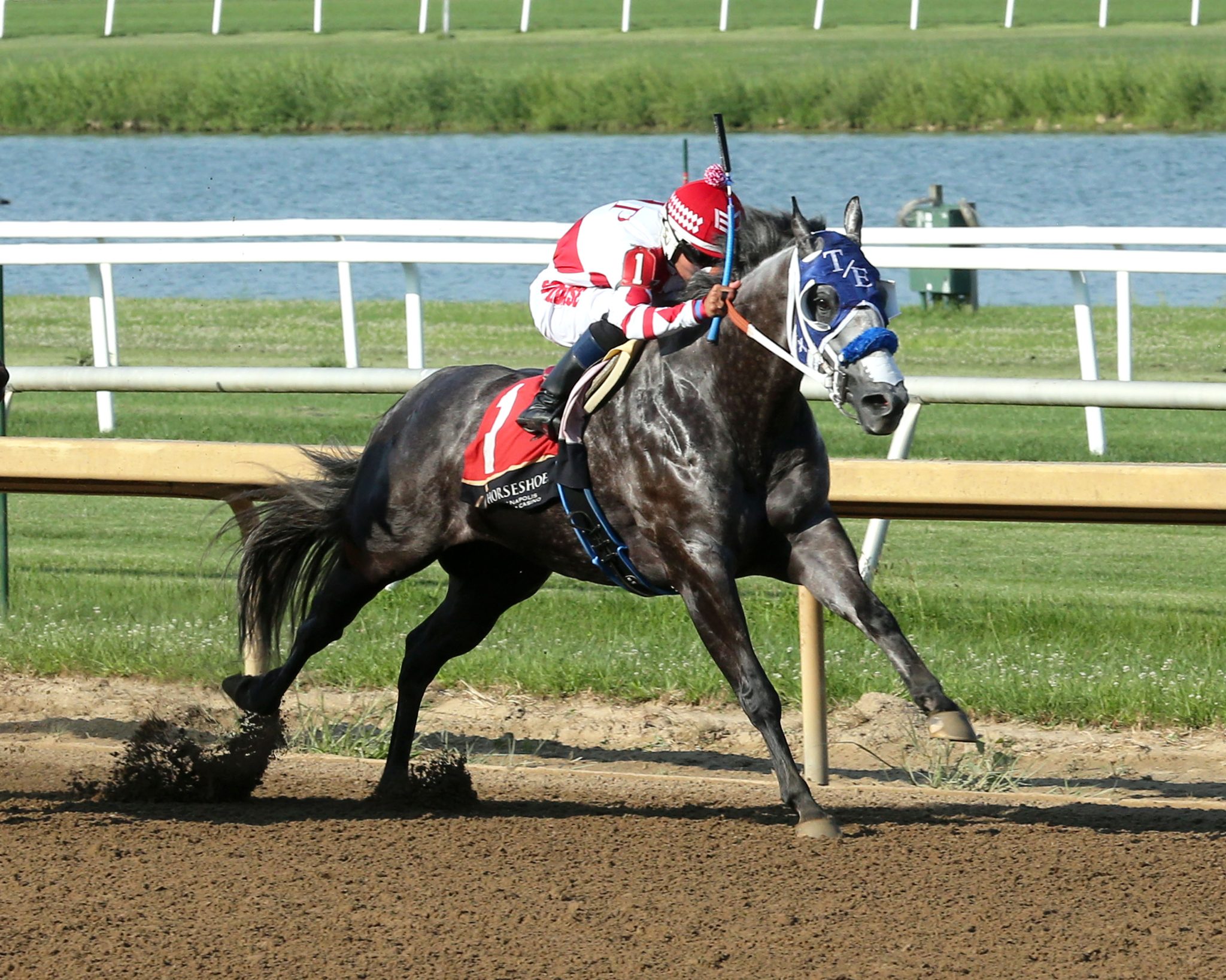Horseshoe indianapolis en vivo: Apuestas de caballos internacionales MasterBets365.com
