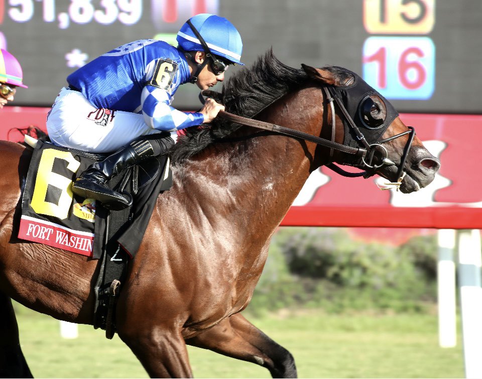 Racing dudes colonial downs: Apuestas de caballos internacionales MasterBets365.com