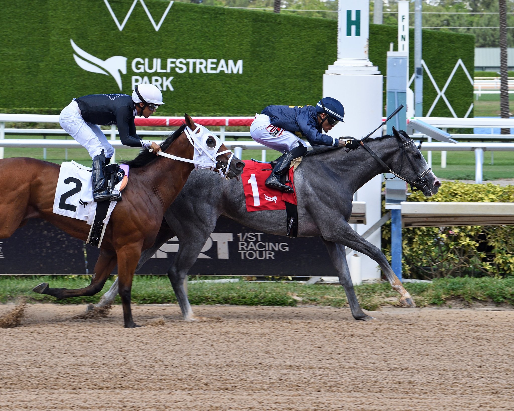 Apuestas de caballos internacionales: Resultados y dividendos de gulfstream park MasterBets365.com