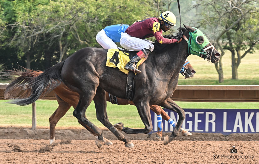 Finger Lakes datos: Quick picks americanas MasterBets365.com