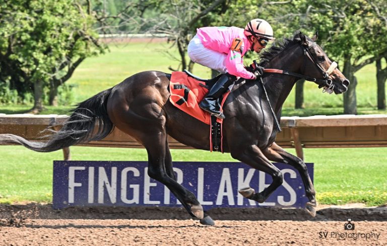 Datos de finger lakes: Tabla de dividendos carreras americanas Masterbets365.com