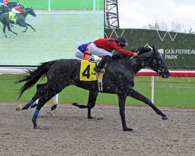 Carreras de caballos hoy en gulfstream park: Dividendos carreras americanas  MasterBets365.com