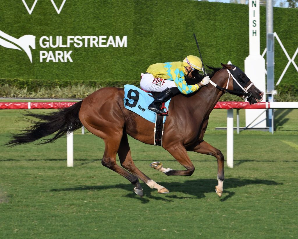 Retrospecto Gulfstream Park: Tabla de dividendos carreras americanas MasterBets365.com