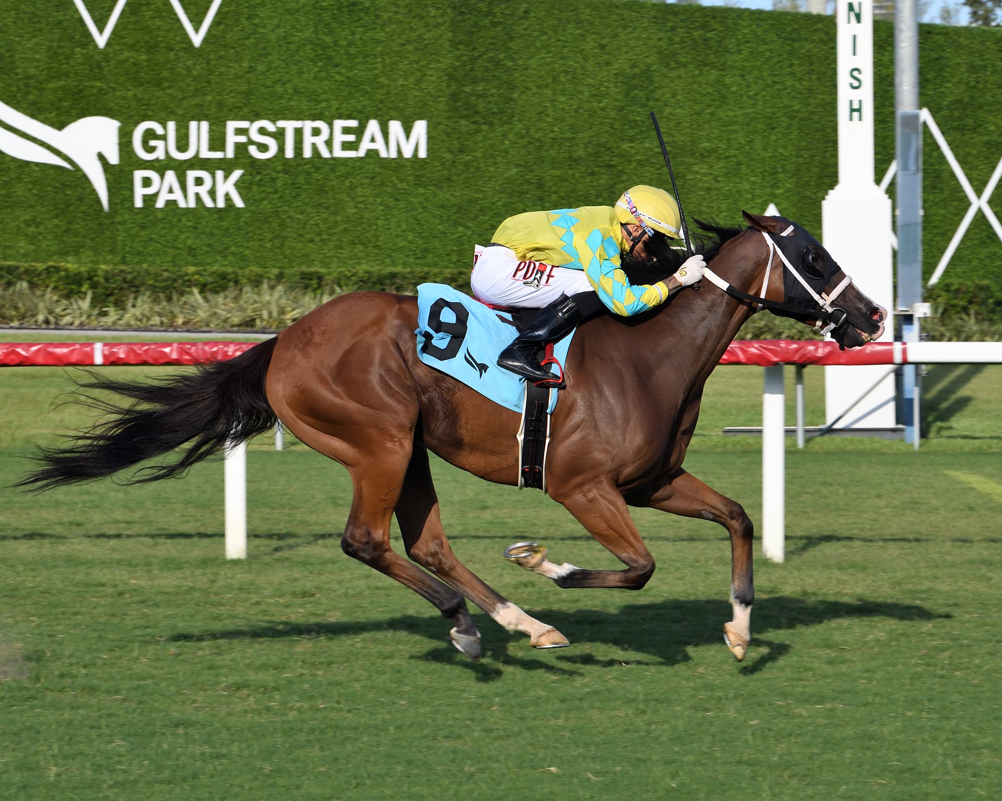Retrospecto Gulfstream Park: Tabla de dividendos carreras americanas MasterBets365.com