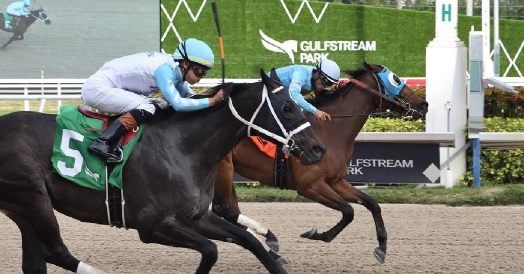 Hipódromo Gulfstream Park – Pronóstico carrera americana hoy  MasterBets365 Race Horse