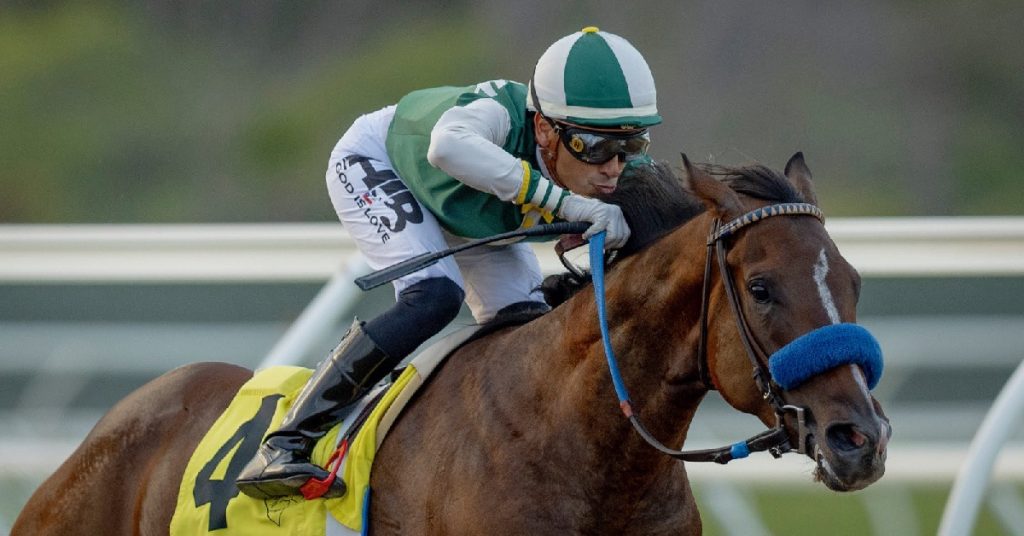 Pronóstico Hipódromo Del Mar _ Quick picks en MasterBets365 datos americana hoy
