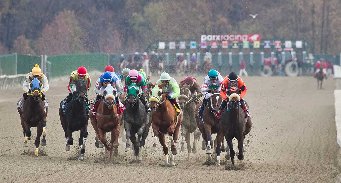Resultados de parx racing de hoy: Tabla de dividendos carreras americanas MasterBets.com