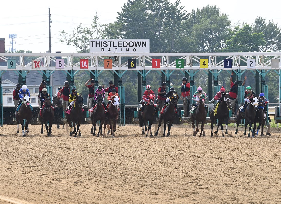 Thistledown en vivo: Retrospecto de carreras americanas para hoy MasterBets365.com