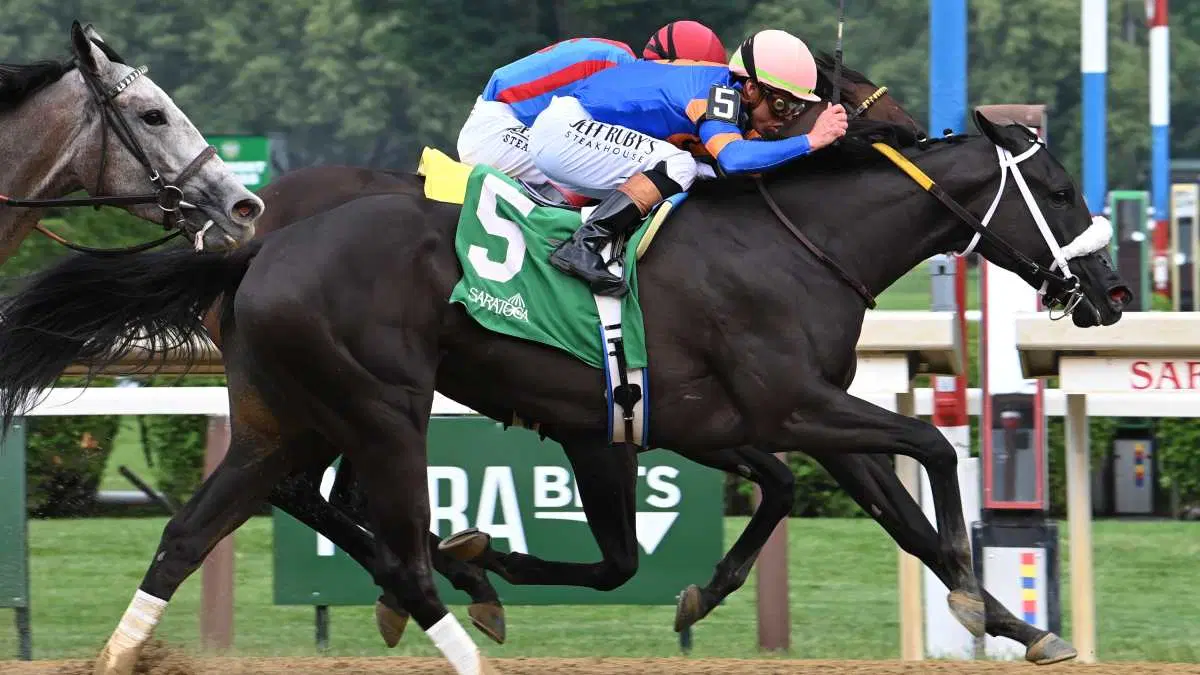 Resultados carreras saratoga hoy: Hipismo internacional datos MasterBets365.com