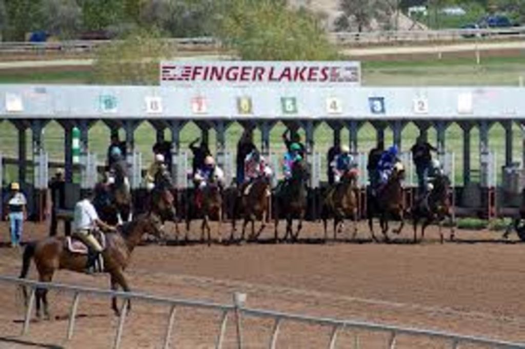 Finger lakes en vivo: Resultados carreras americanas hoy MasterBets365.com