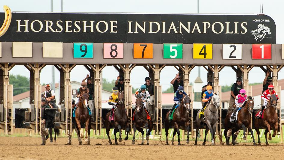 Horseshoe indianapolis en vivo: Tabla de dividendos carreras americanas MasterBets365.com