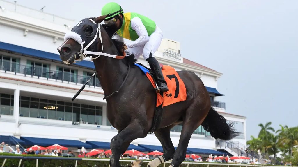Pronóstico gulfstream park hoy: Quick picks americanas MasterBets365.com