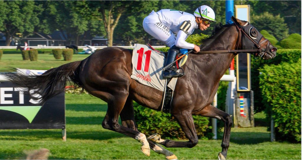 Marcas de saratoga: Tabla de dividendos de caballos americanos MasterBets365.com