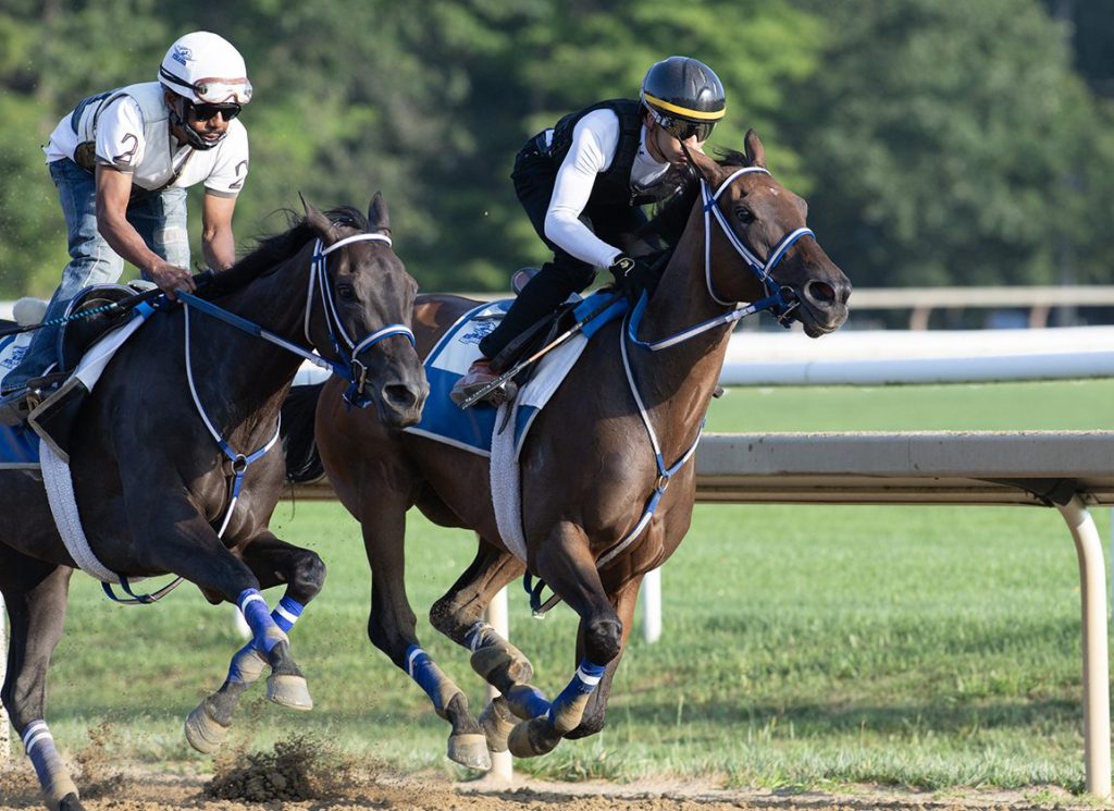 Resultados de parx racing de hoy: Carreras americanas en vivo hoy MasterBets365.com