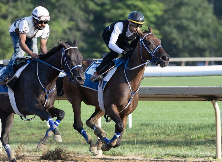 Resultados de parx racing de hoy: Carreras americanas en vivo hoy MasterBets365.com