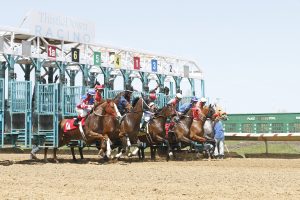 Thistledown en vivo: Resultados carreras americanas hoy MasterBets365.com