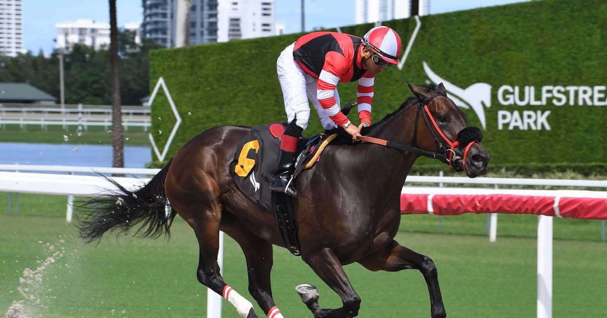Datos de Gulfstream Park hoy gratis MasterBets365