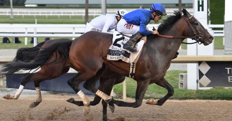 Datos de carreras americanas Gulfstream Park hoy Gratis 21 de septiembre MasterBets365