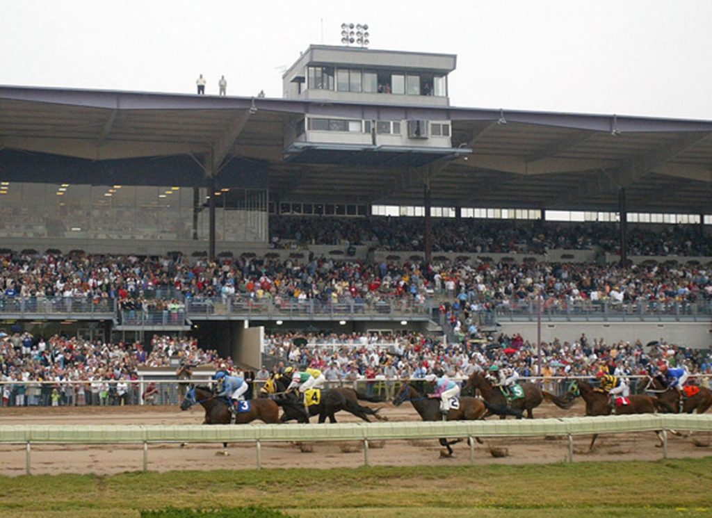 Finger Lakes en vivo: Tabla de dividendos carreras americanas MasterBets365.com