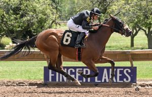 Resultados finger lakes: Datos hípicos gratis carreras internacionales MasterBets365.com