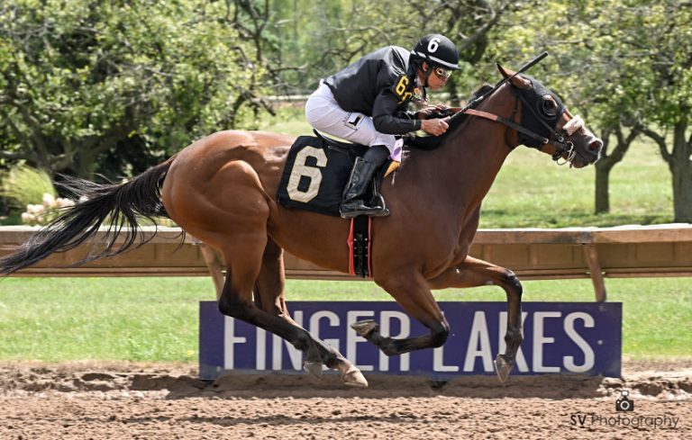 Resultados finger lakes: Datos hípicos gratis carreras internacionales MasterBets365.com