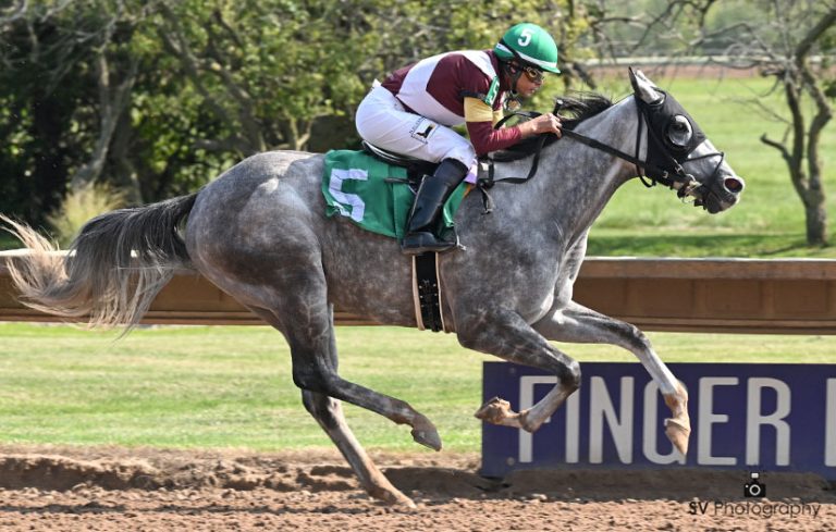 Resultados finger lakes: Tabla de dividendos de caballos americanos Masterbets365.com