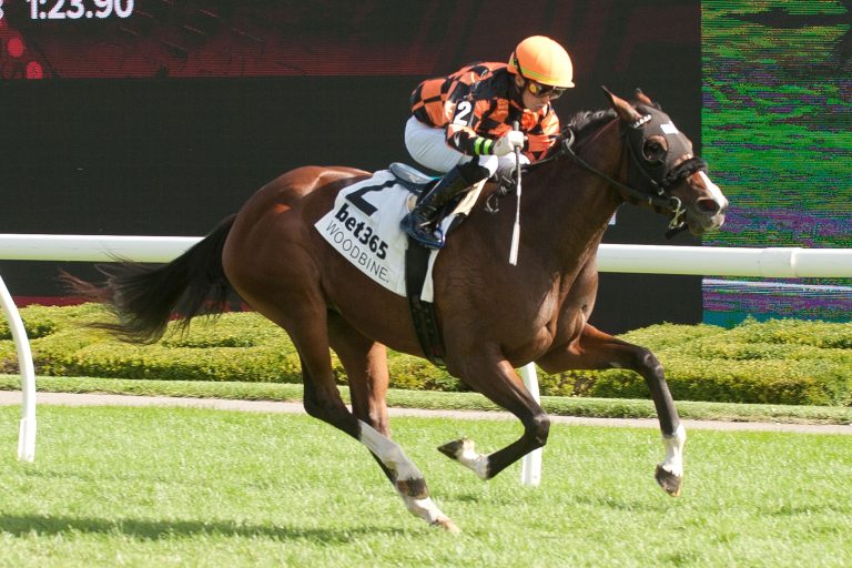 Woodbine carreras en vivo: Datos y picks gratis para carreras americanas MasterBets365.com