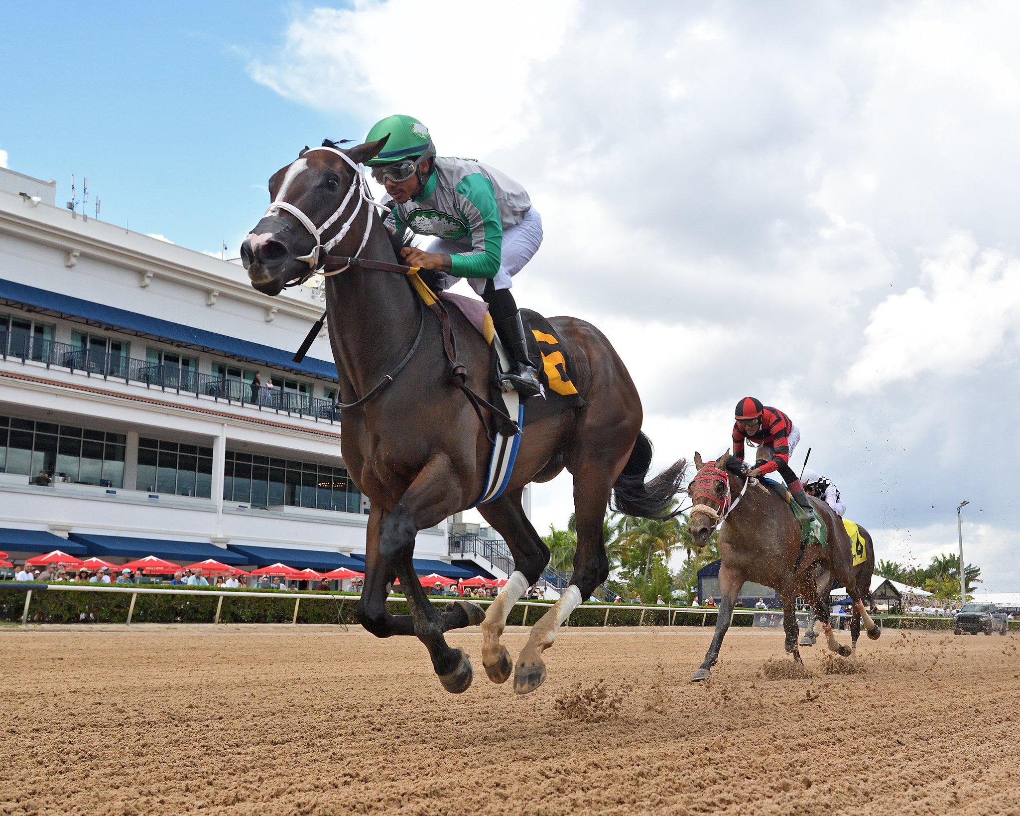 Pronóstico gulfstream park hoy: Resultados carreras americanas hoy MasterBets365.com
