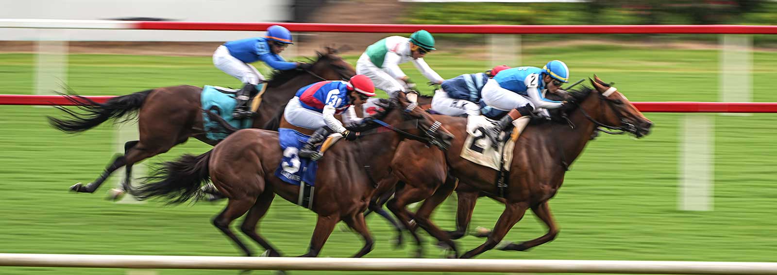 Racing dudes colonial downs: Datos hipismo internacional MasterBets365.com