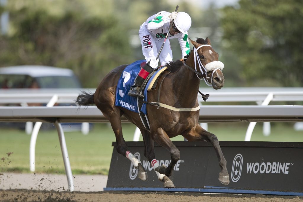 Datos woodbine: Retrospecto de carreras americanas para hoy MasterBets365.com