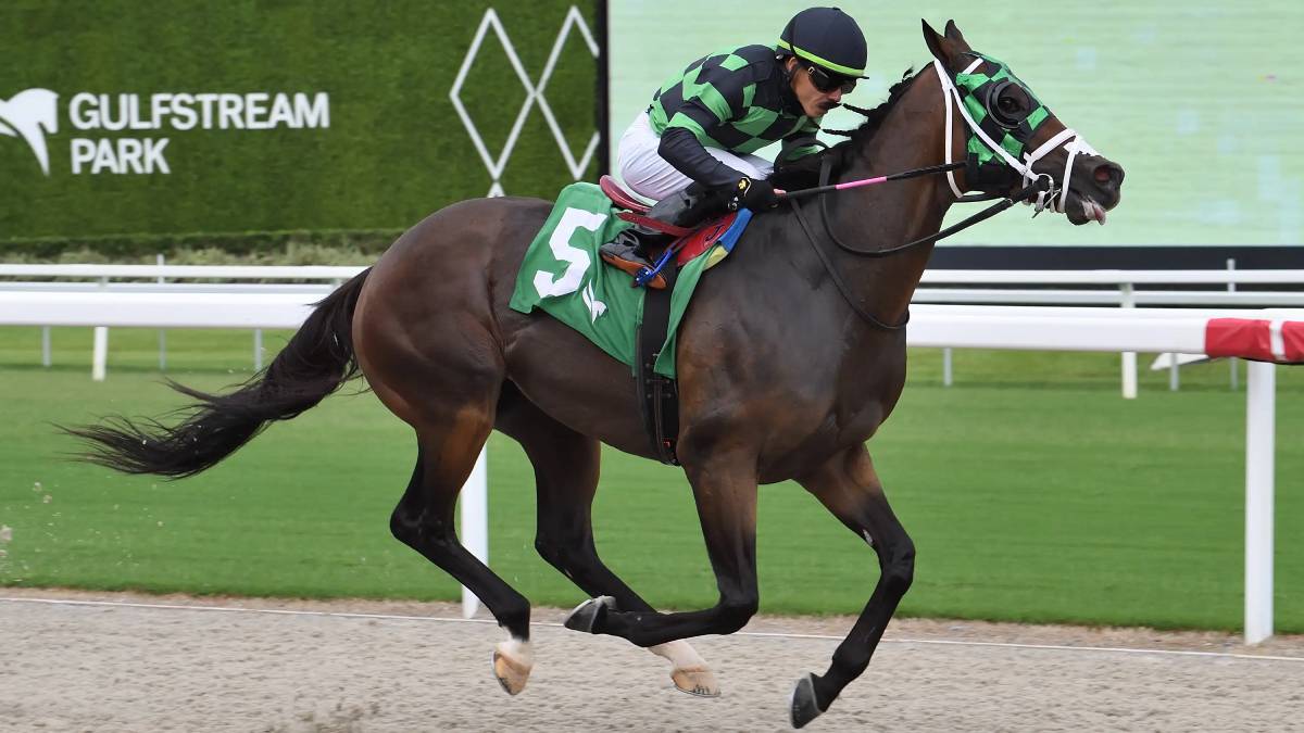 Pronóstico gulfstream park hoy: Tabla de dividendos carreras americanas MasterBets365.com