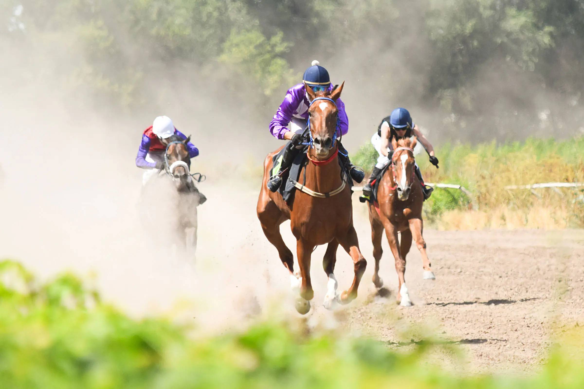 Resultados carreras de caballos hoy: Finger lakes en vivo MasterBets365.com
