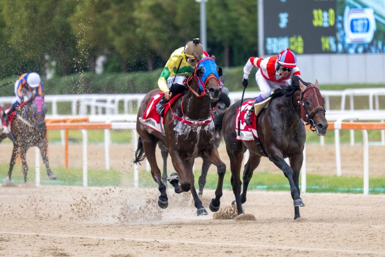 Horseshoe indianapolis en vivo: Resultados carreras americanas hoy MasterBets365.com