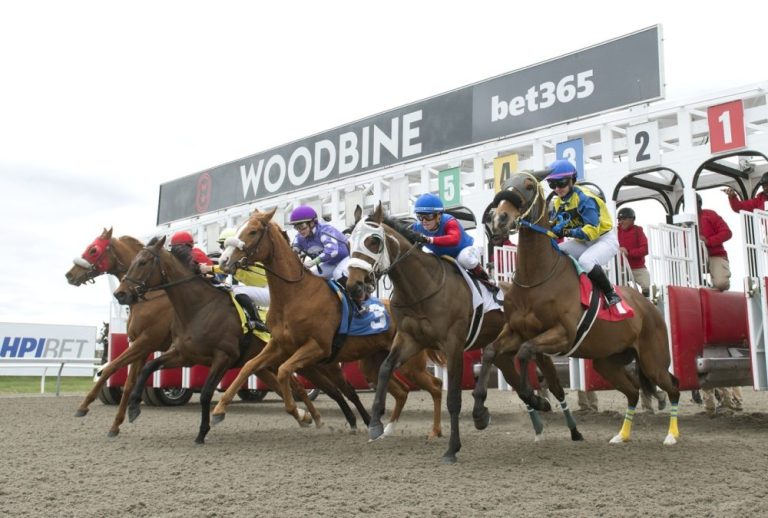 Datos Woodbine hoy - Carreras americanas 13 de septiembre MasterBets365